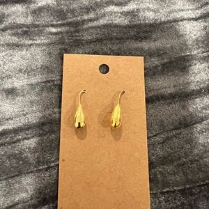 Gold Teardrop Hook Earrings - Women Jewelry